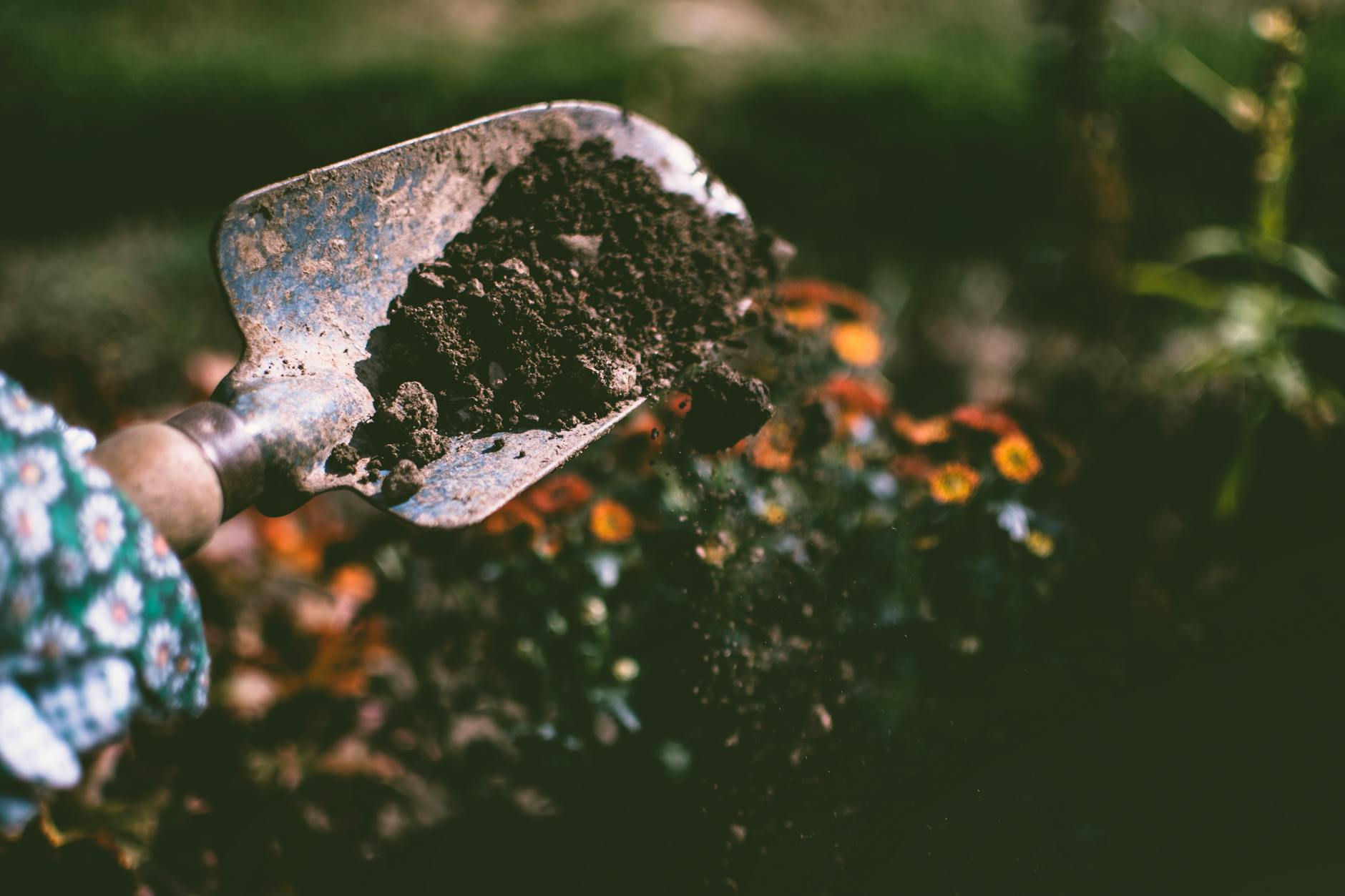 Soil Texture
